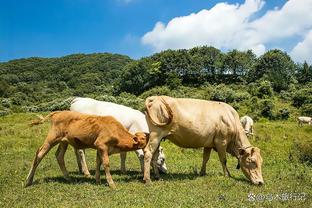 沃格尔谈失利：快船现在的节奏更好 我们防不住他们